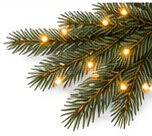 Evergreen branch artwork with glowing warm string lights, used as a cropped top-right page decoration.