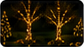Thumbnail photo of several bare trees wrapped in warm string lights.