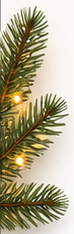 Photorealistic pine boughs with warm holiday string lights used around page corners.
